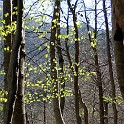 DSCN3134