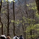 DSCN3135