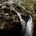 DSCN3136
