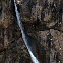DSCN3137