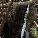 DSCN3142