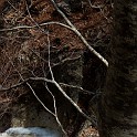 DSCN3147a