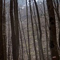 DSCN3149