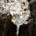 DSCN3155