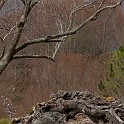 DSCN3179
