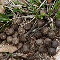 DSCN3179b