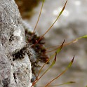 DSCN3184