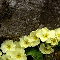 DSCN3189