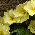 DSCN3190