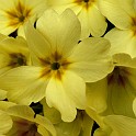 DSCN3190b