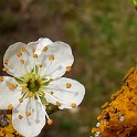 DSCN3196a