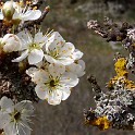DSCN3196b