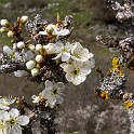 DSCN3197