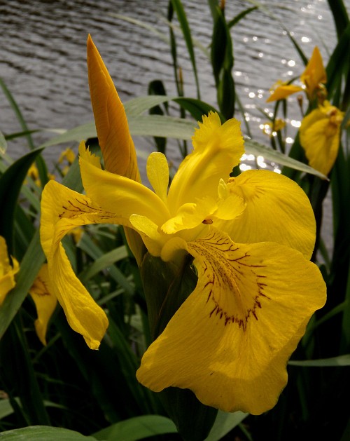 002