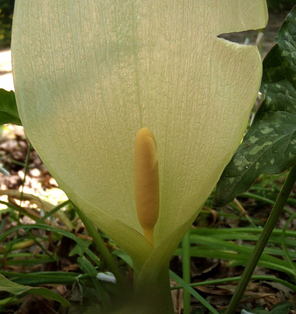 002f2