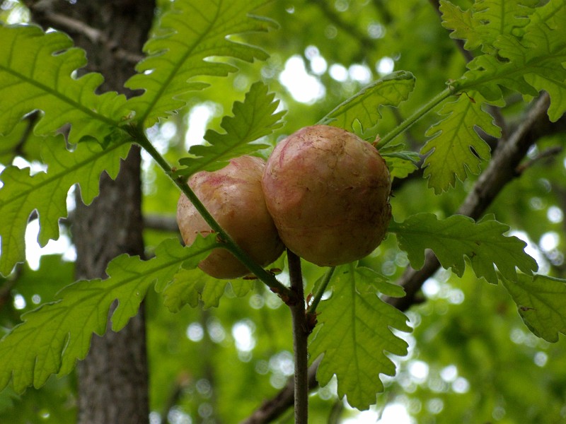 029