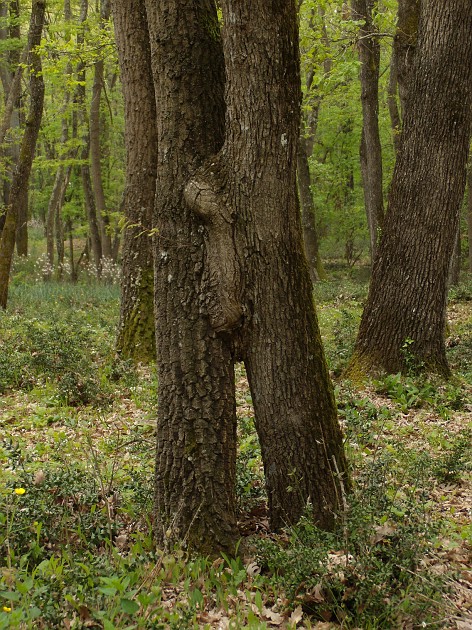 040