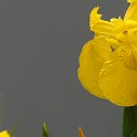 001e