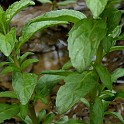 002f0