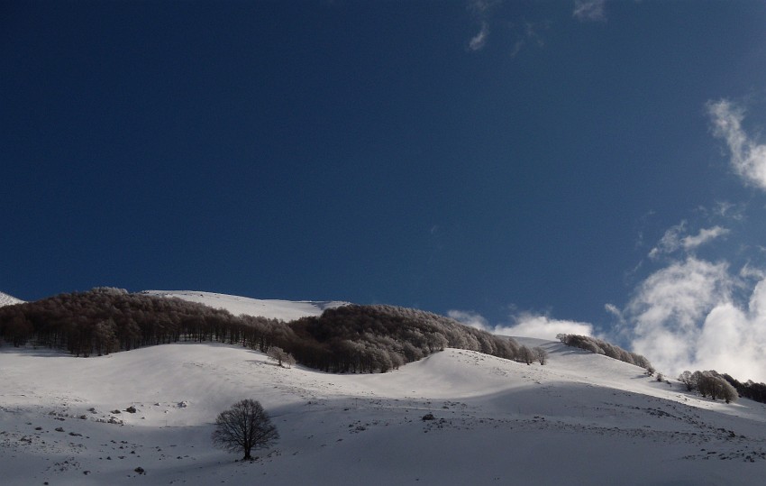 DSCN0469