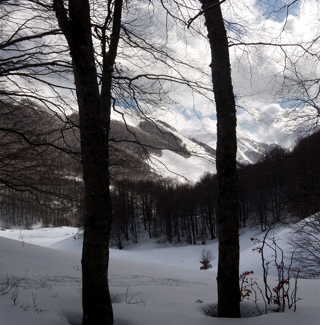 DSCN0478