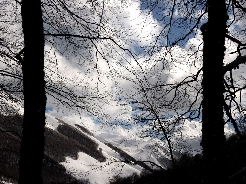 DSCN0479