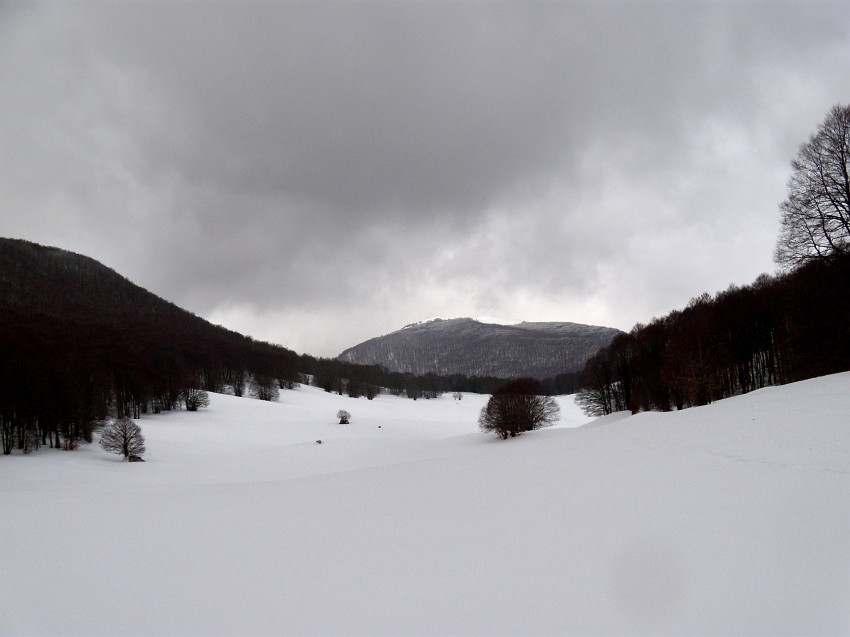 DSCN0500