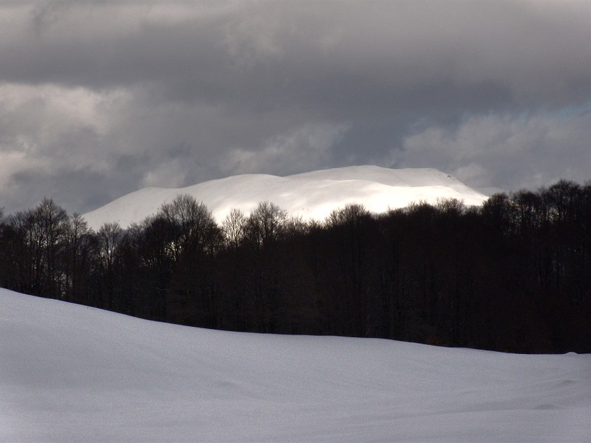 DSCN0503