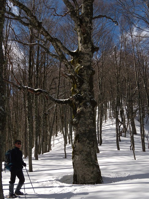 DSCN0568