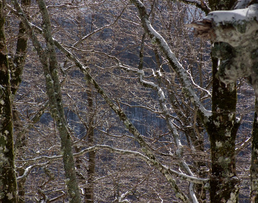 DSCN0569