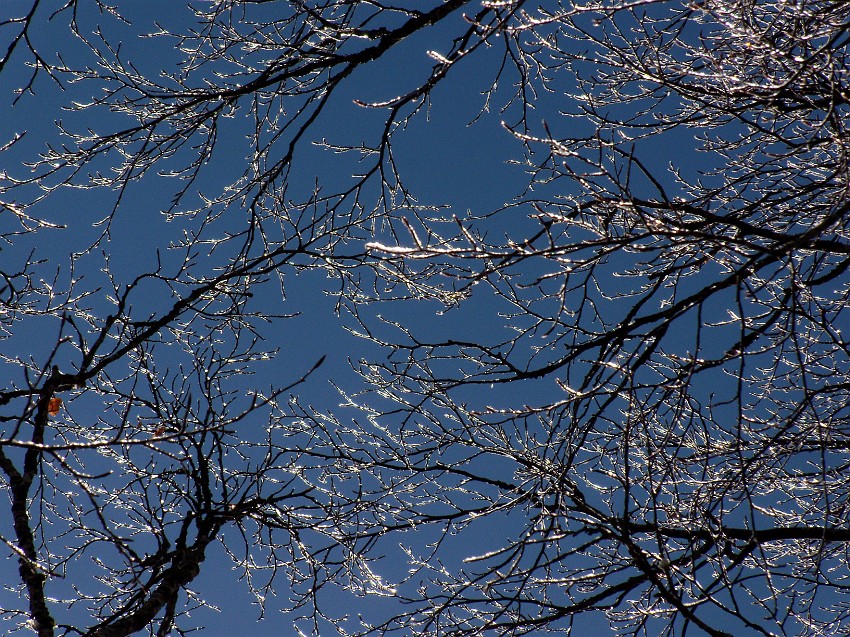 DSCN0580