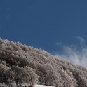 DSCN0470