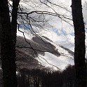 DSCN0478