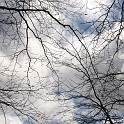 DSCN0479