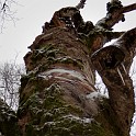 DSCN0483