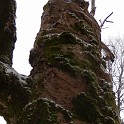 DSCN0486