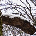 DSCN0487