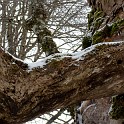 DSCN0489