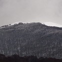 DSCN0501