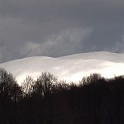 DSCN0503