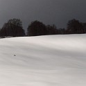 DSCN0504