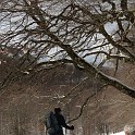 DSCN0515