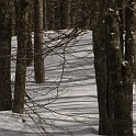 DSCN0522