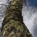 DSCN0526a