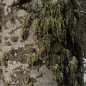 DSCN0526b