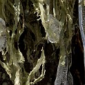 DSCN0526d