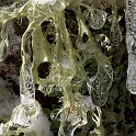 DSCN0527