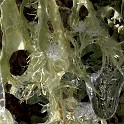 DSCN0527crop
