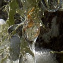 DSCN0532crop2