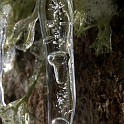 DSCN0532crop3